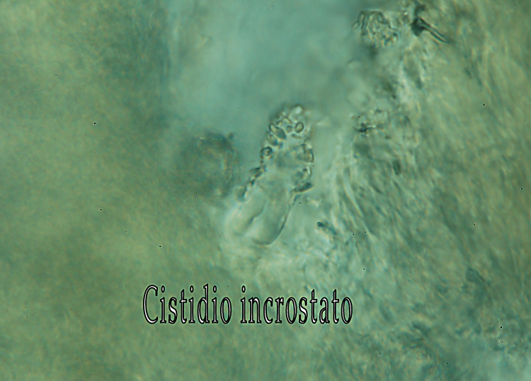 Miniera di Gambatesa 28